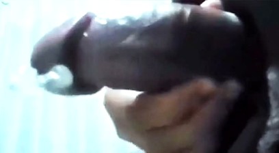 My Piercing Dick is FUN by iAmBearBoy