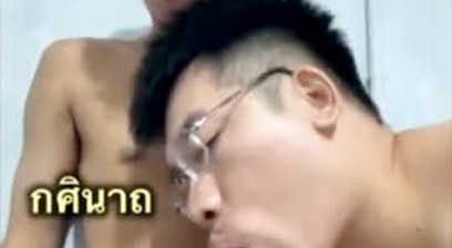 Thai twink top breeding codacolours